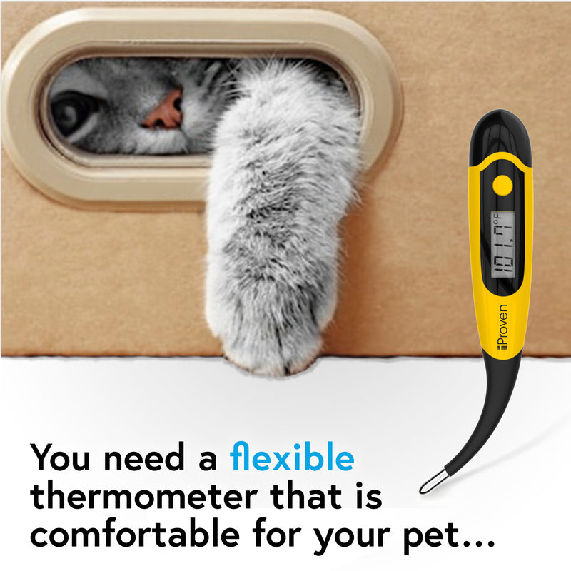 Professional Ear Thermometer, Pet Dog Cat Ear Thermometer